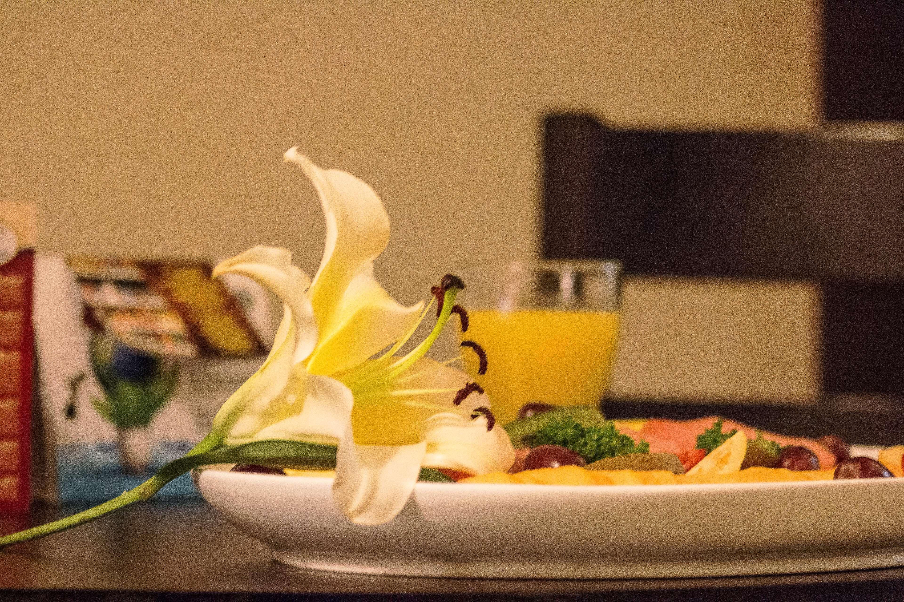 Best Western Posada Del Rio Gomez Palacio Eksteriør billede